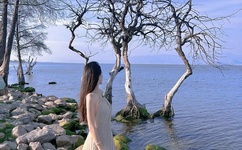 40分钟超污的动画片视频